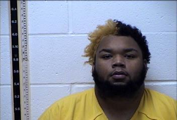 Mugshot of AURORIE RASHAUD JENKINS