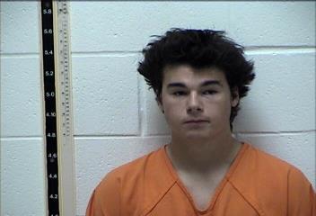 Mugshot of ANDREW GIBSON JR COTTON