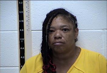 Mugshot of DEMINELLE LOIS SKIPPER PETERSON