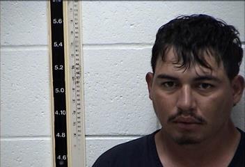 Mugshot of RODRIGO NAVARRETE NIETO