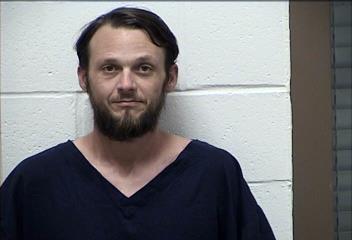 Mugshot of DAVID L ROBERTS
