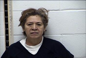 Mugshot of ELIZABETH DIAN-YANEZ