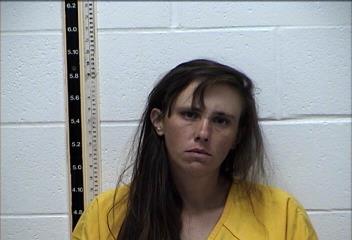 Mugshot of MEGAN LIZABETH BICKHAM