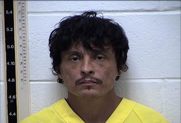 Mugshot of MARTIN LEE MINKS