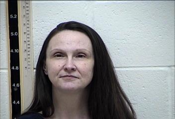 Mugshot of MELISSA KAY HAYES