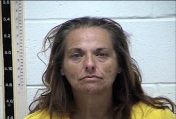 Mugshot of TAMMY LYNN SORENSEN