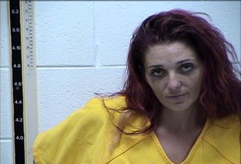 Mugshot of BROOKLYNN NICOLE HOLLAWAY