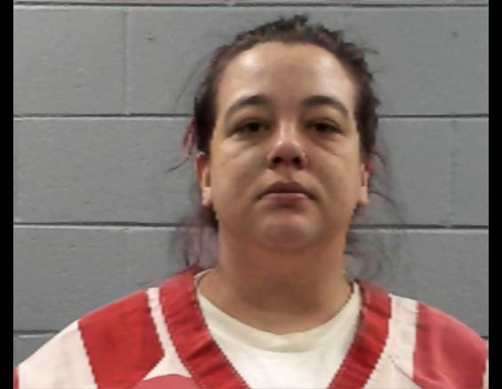 Mugshot of BRANDY HARRIS