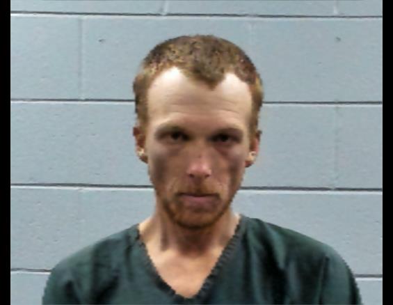Mugshot of IAN GILL