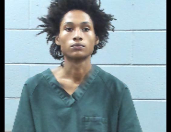 Mugshot of JAMES WILLIAMS