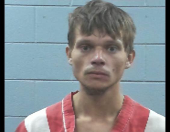 Mugshot of AUSTIN WADE
