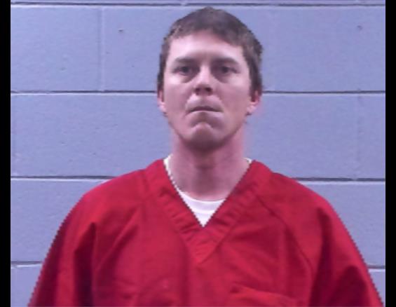 Mugshot of RANDALL REAVIS