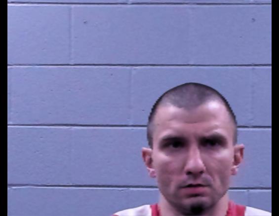 Mugshot of GARY WILSON