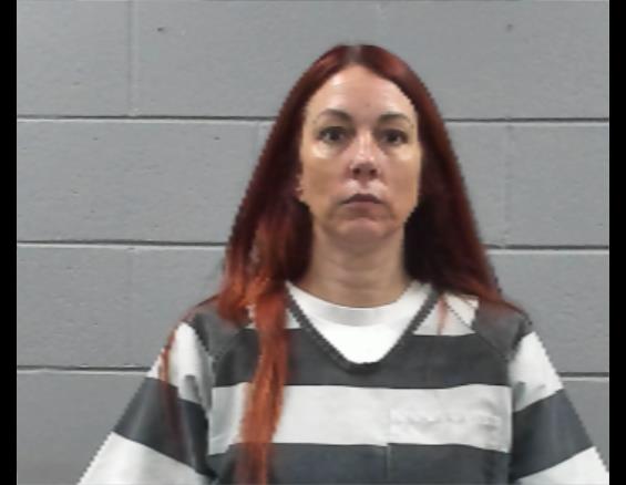 Mugshot of BRANDI TATE