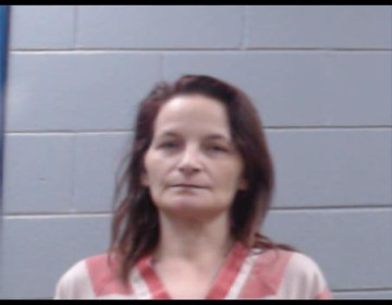 Mugshot of LYNDA BURK
