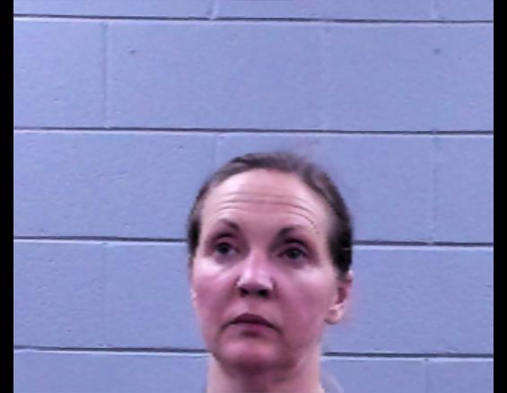 Mugshot of JULIE SMITH