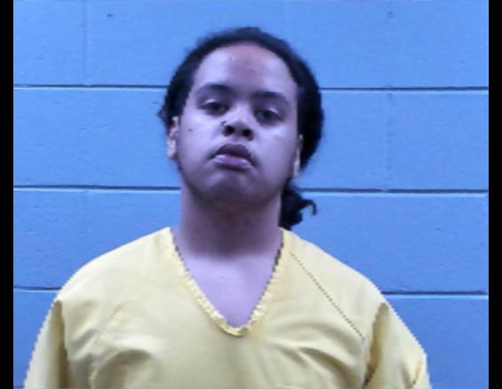 Mugshot of SHEDRICK WALLACE