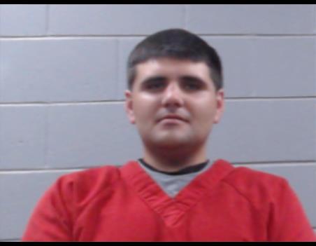 Mugshot of DYLAN PAGE