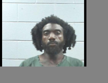 Mugshot of LYNN PEELS