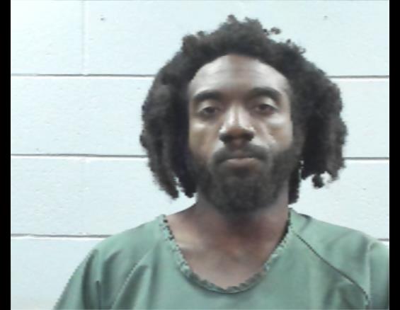 Mugshot of LYNN PEELS
