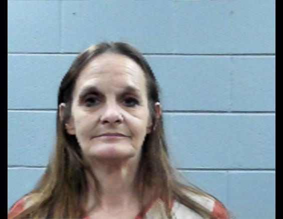 Mugshot of JENNIFER FREEMAN