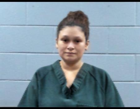Mugshot of WENDY PURVIS