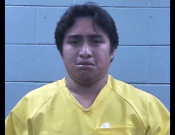 Mugshot of NELSON JIMENEZ