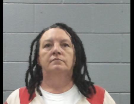 Mugshot of ERICA WOOLDRIDGE