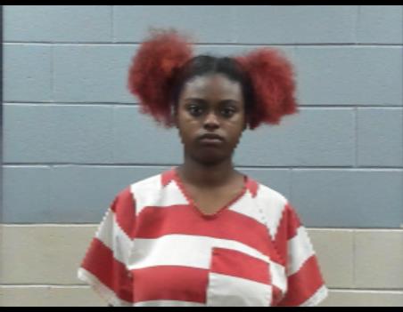 Mugshot of NIZERIA SIMS