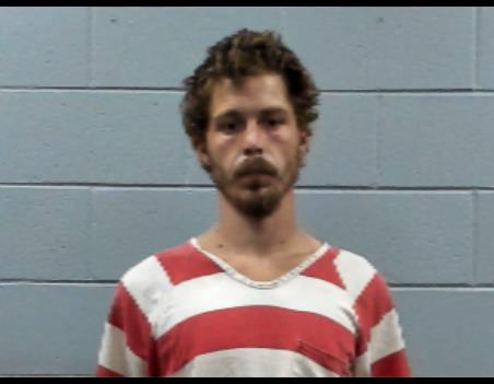 Mugshot of JAMES COLLINS