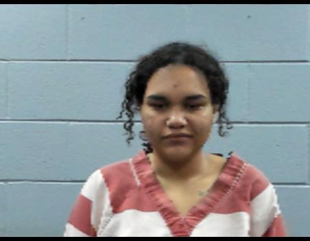 Mugshot of AUDREY HOLLOWAY
