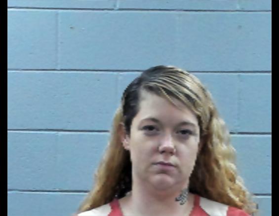 Mugshot of DESTINY WILMOTH