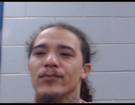 Mugshot of LAGREGORY RAGSDALE