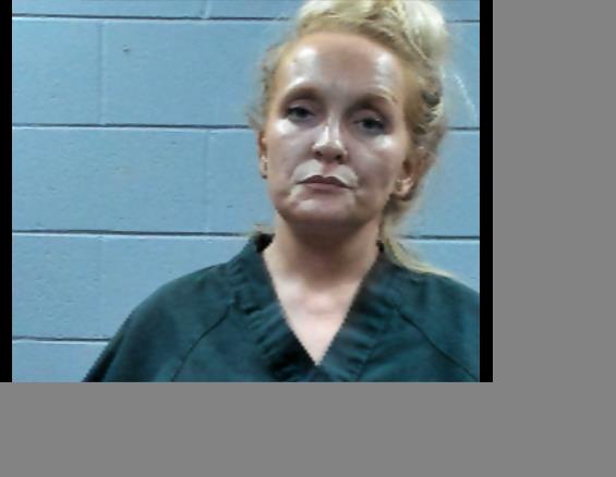 Mugshot of ERIN HALE