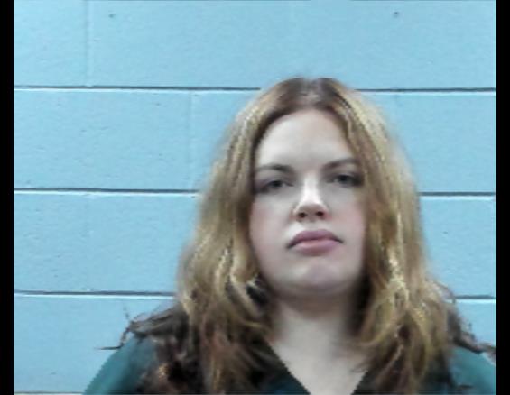 Mugshot of LACEY LEE