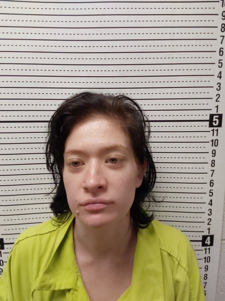 Mugshot of SUMMER PHILLIPS