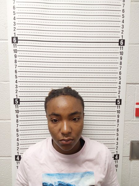 Mugshot of JAKERRIA SHARNAY WILKINS
