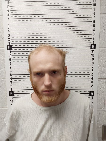 Mugshot of ROBERT FLANAGAN