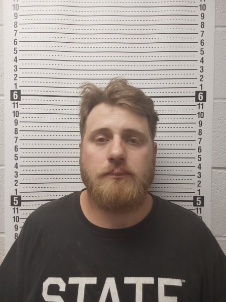 Mugshot of DAVIS GAINES