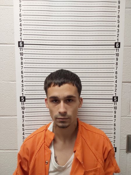 Mugshot of CADEN WILLINGHAM