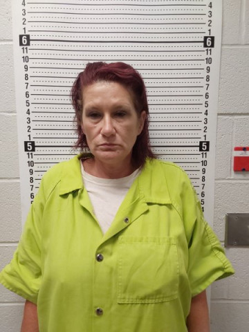 Mugshot of BRANDY NICOLE THOMAS