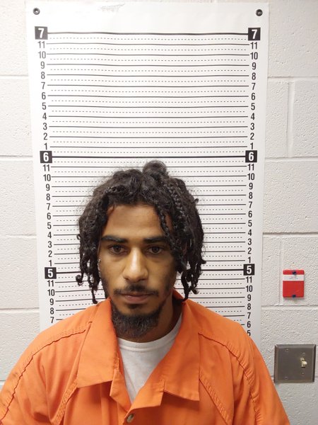 Mugshot of TYGER NEWSON