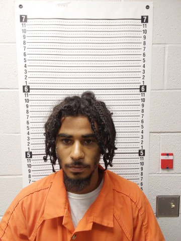 Mugshot of TYGER NEWSON