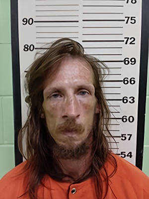 Mugshot of MICHAEL WAYNE SHAFER