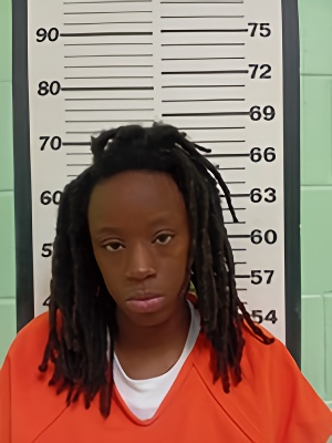 Mugshot of J'SANDRA ANNETTE GIBSON