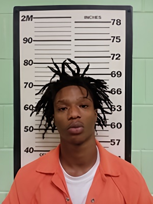 Mugshot of NELLY RASHON DANIELS
