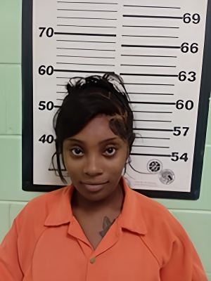 Mugshot of WHITNEY DAVIONNA HAYES