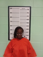 Mugshot of RAVEN RINGO