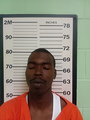 Mugshot of LADAMIUS DEANGELLUS BLANCH