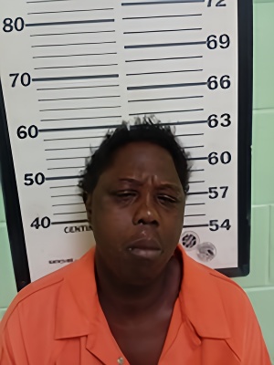 Mugshot of TERESA ANN MCLEMORE